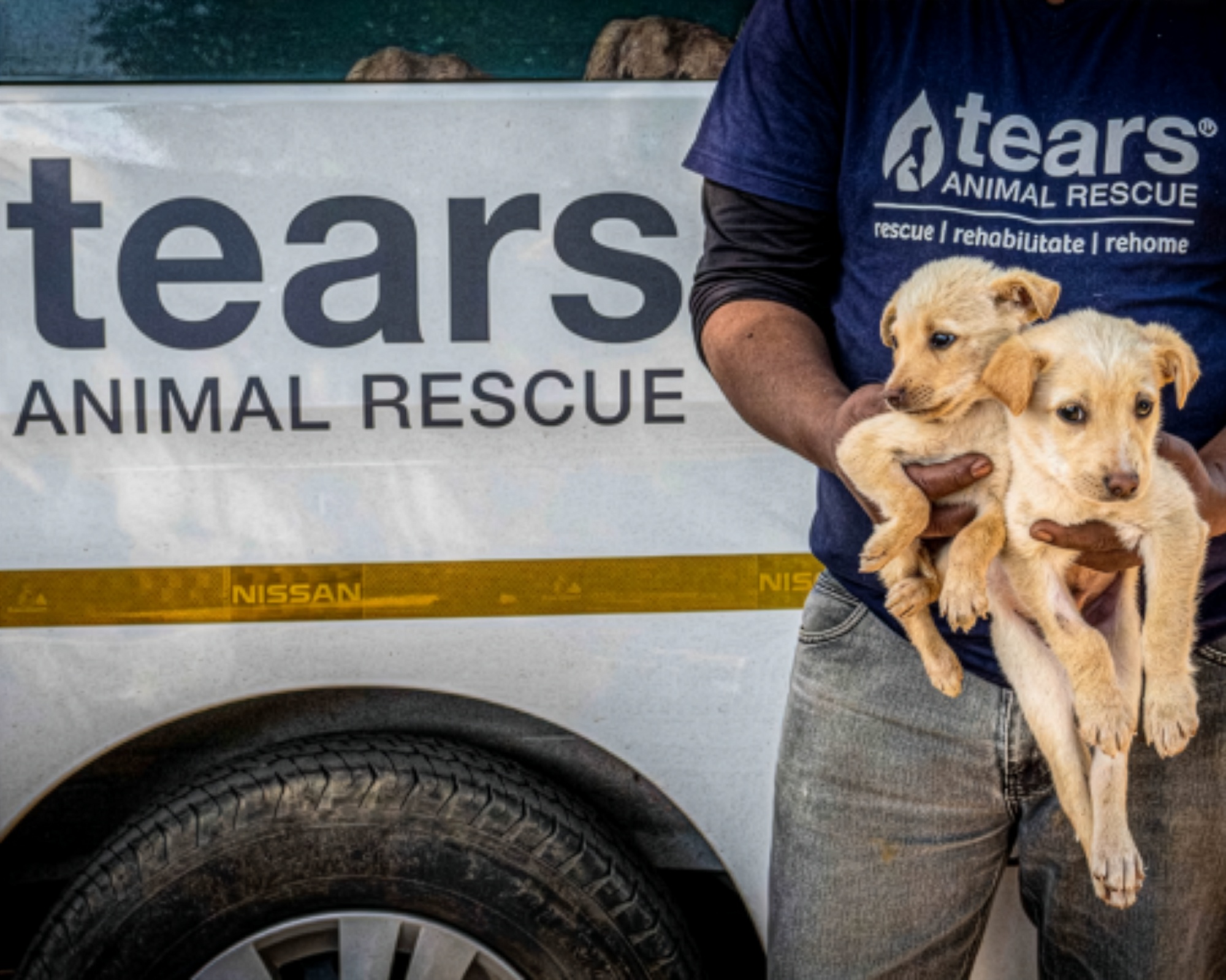 Tears Animal Rescue